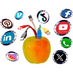 Community Management