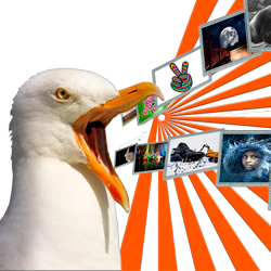 Creación de Contenidos